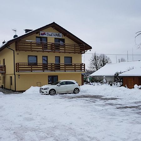 Seul Willa Ustron Kültér fotó
